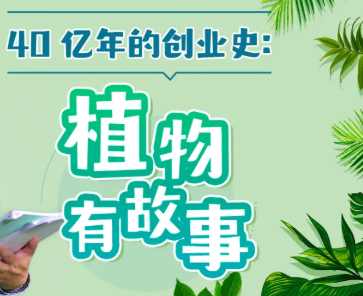 植物有故事，汪诘老师新作，40亿年的创业史